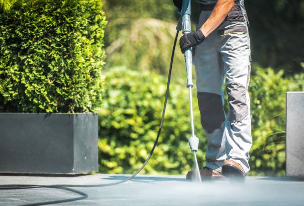 Best Solar Panel Cleaning  in Colfax, CA